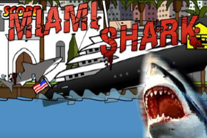 Miami Shark